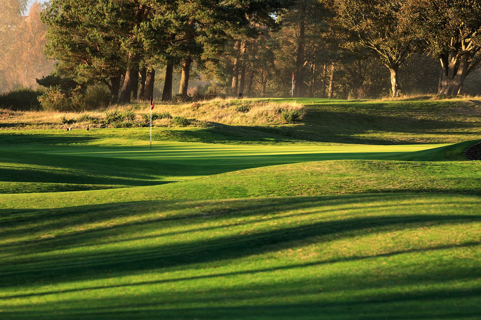 Ssaver Scotscraig.15.10.25.MKIV.7.2