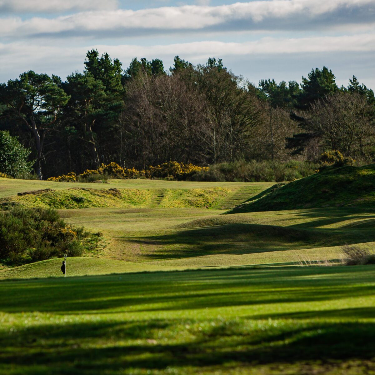 View of the course