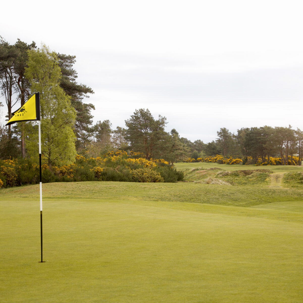 4th hole SGC