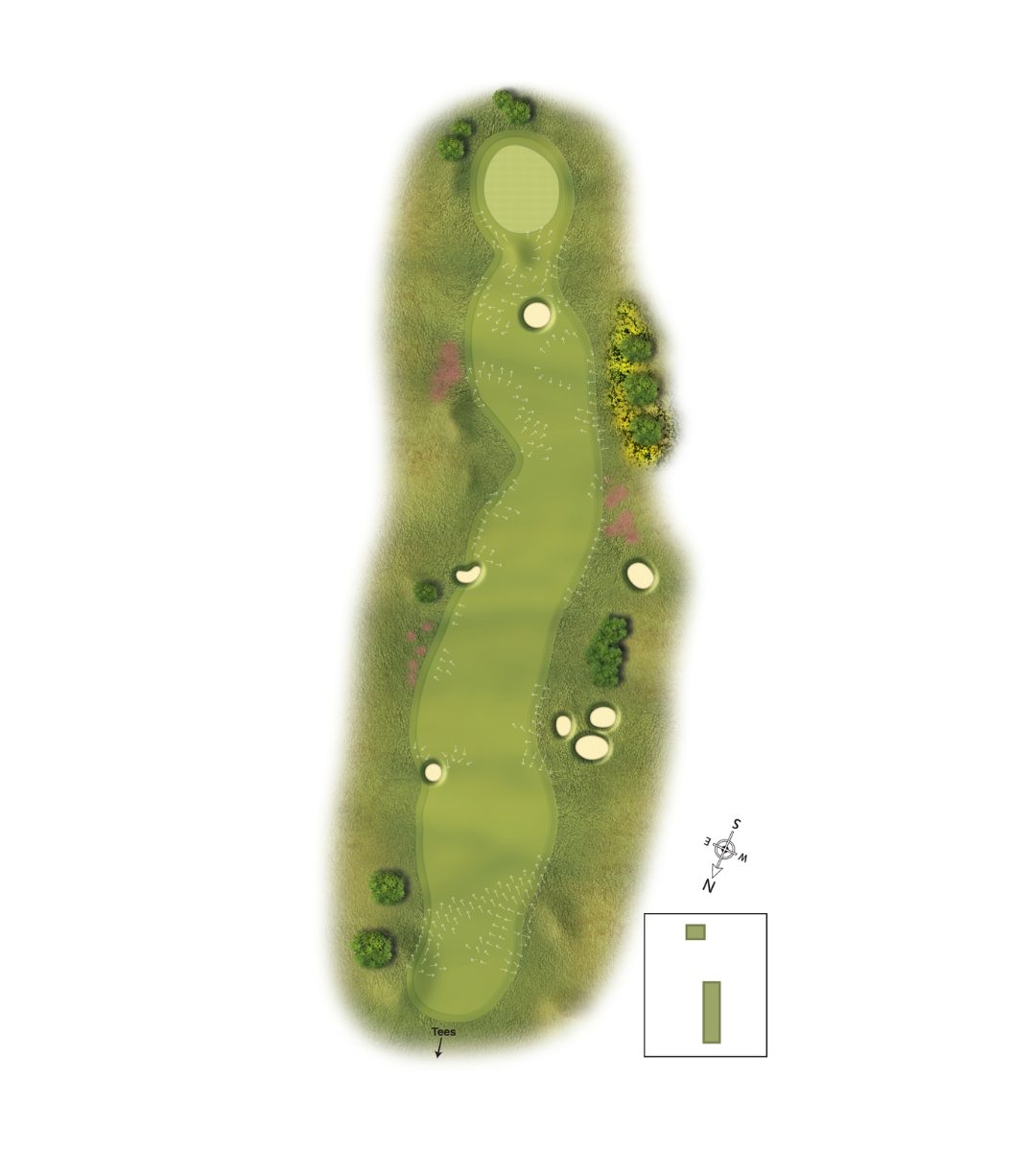 10Scotscraig Course Graphic Template (1)