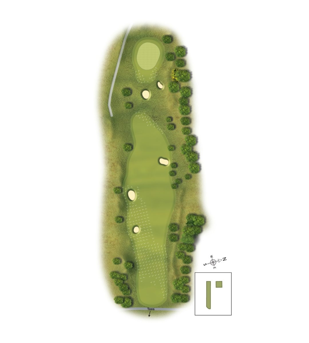 12Scotscraig Course Graphic Template