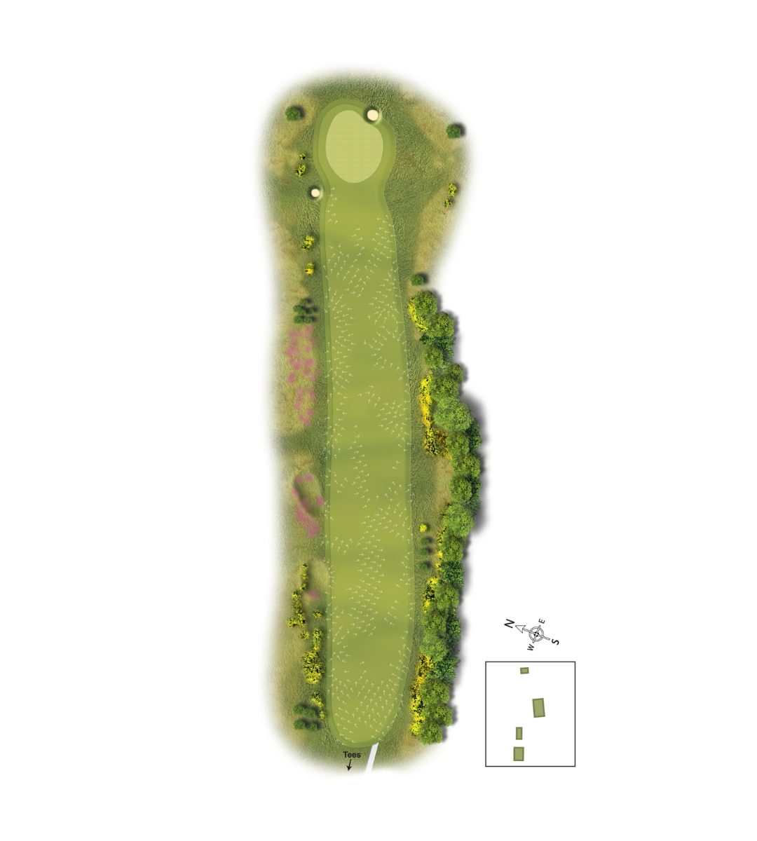 2Scotscraig Course Graphic Template