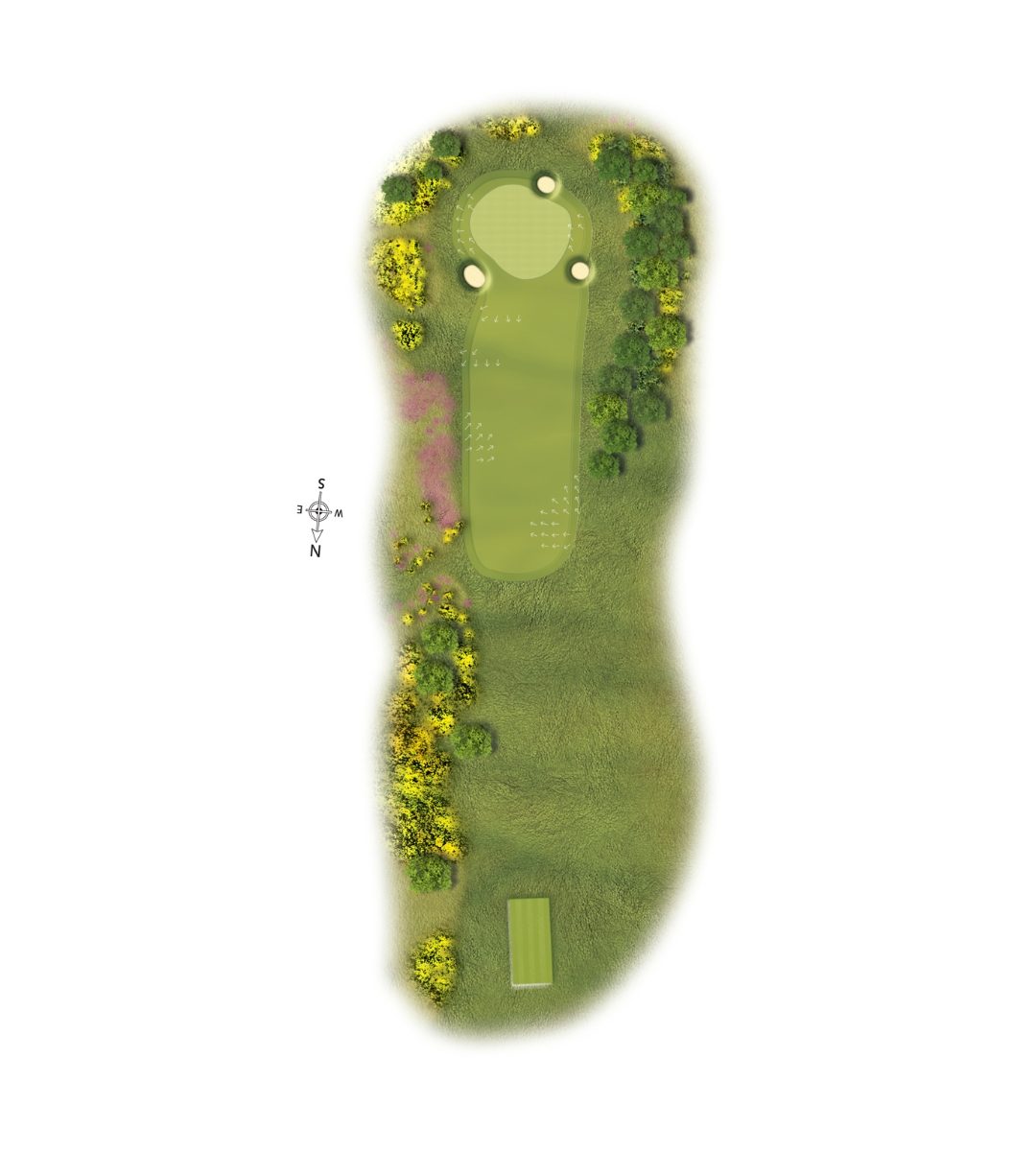 3Scotscraig Course Graphic Template