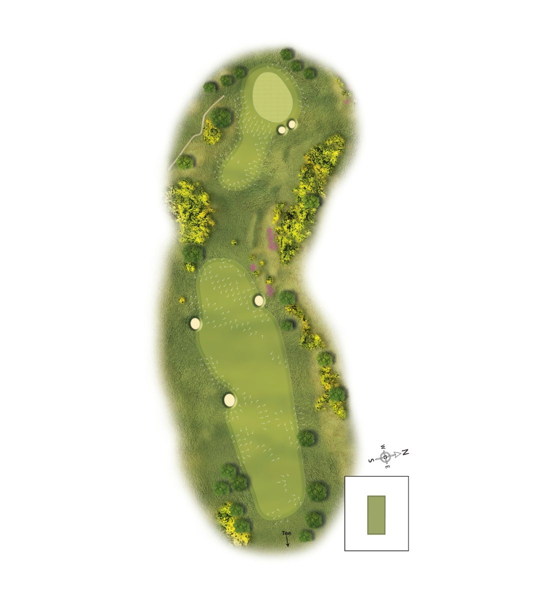 4Scotscraig Course Graphic Template