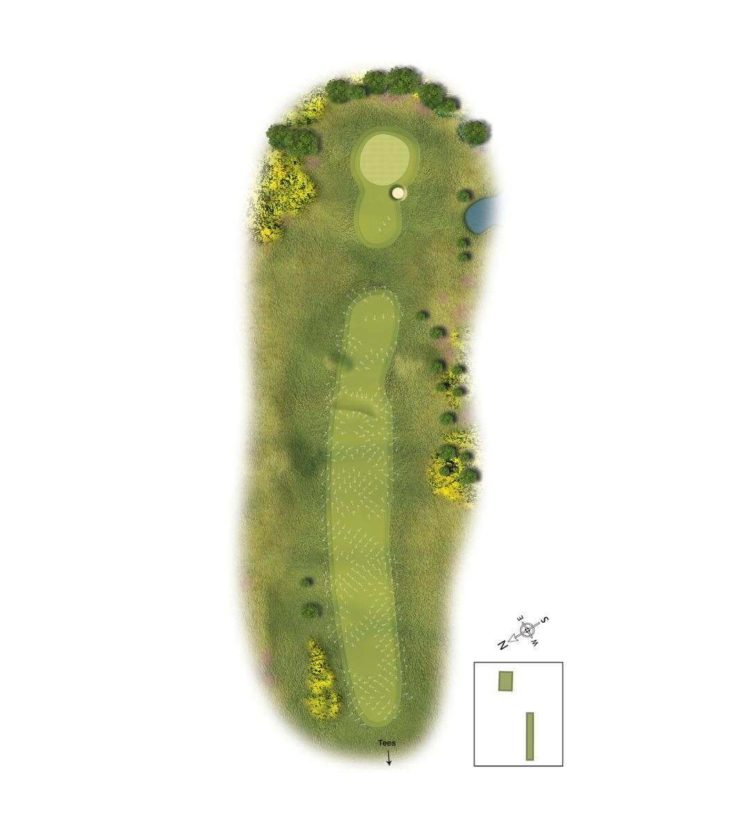 5Scotscraig Course Graphic Template
