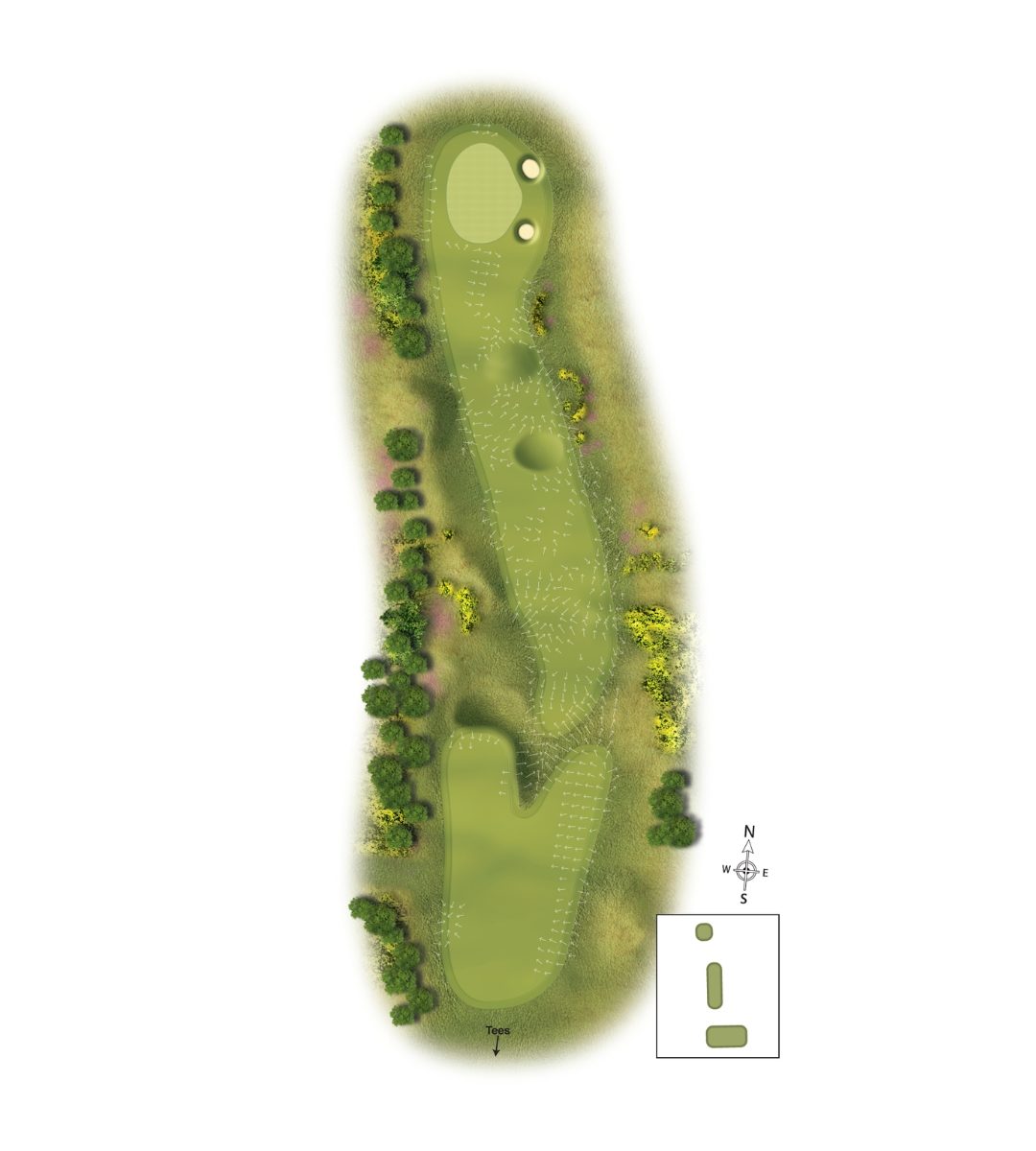 7Scotscraig Course Graphic Template