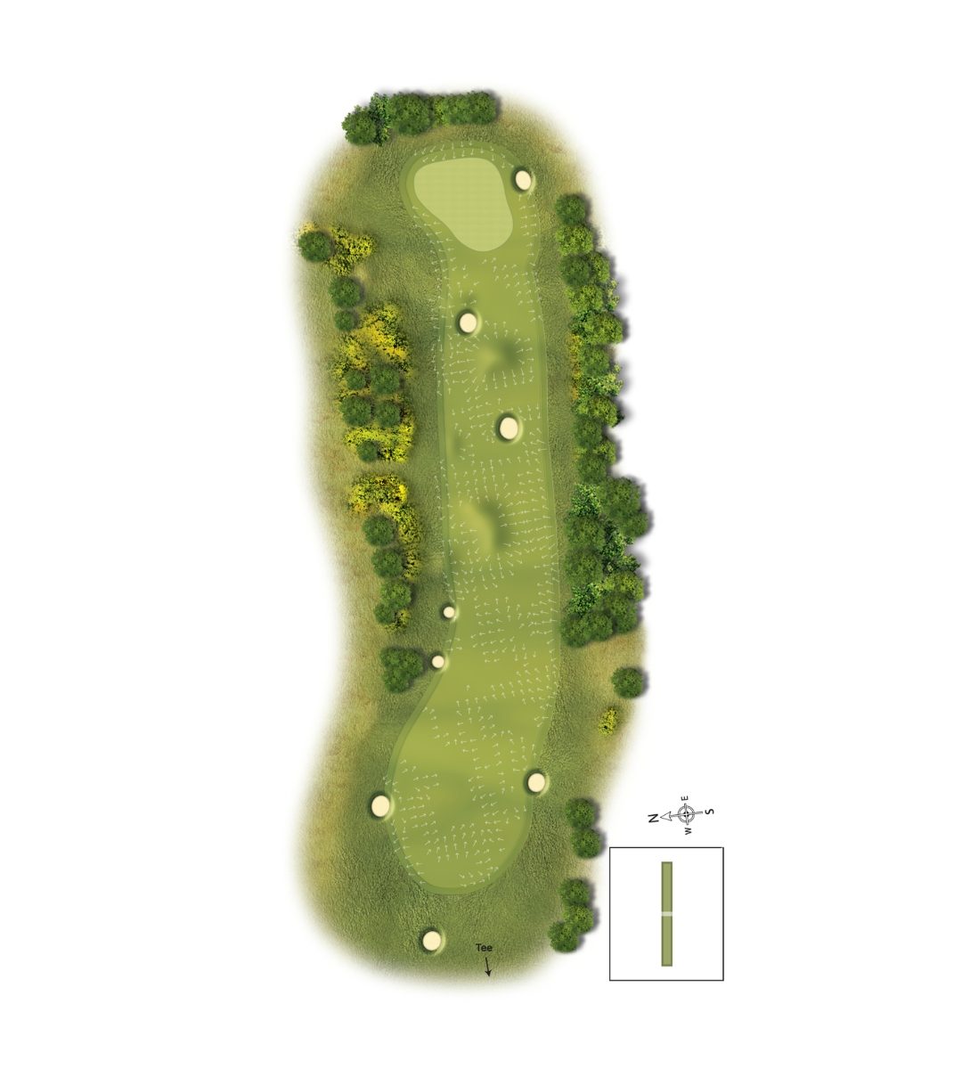 8Scotscraig Course Graphic Template